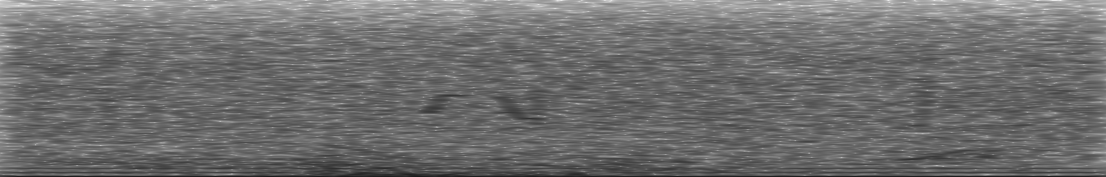 [Loading Spectrogram]