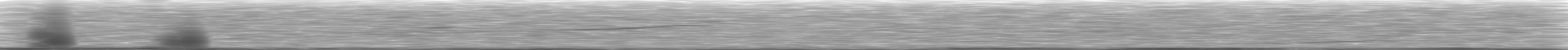 [Loading Spectrogram]
