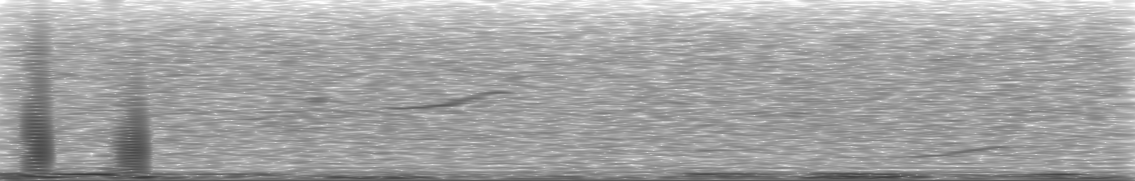 [Loading Spectrogram]
