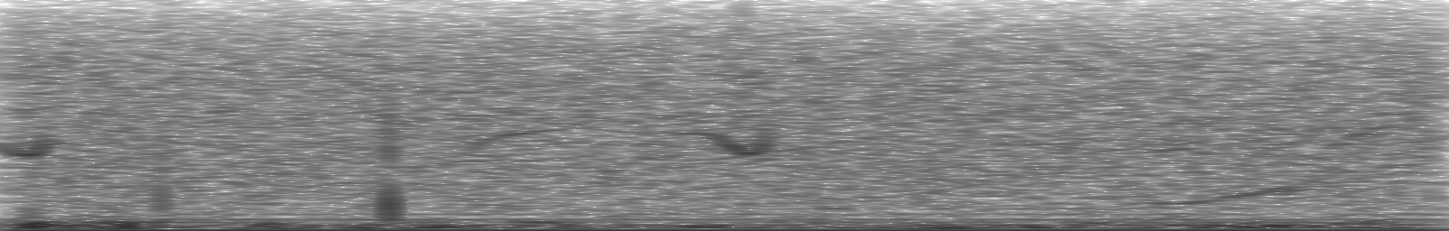 [Loading Spectrogram]