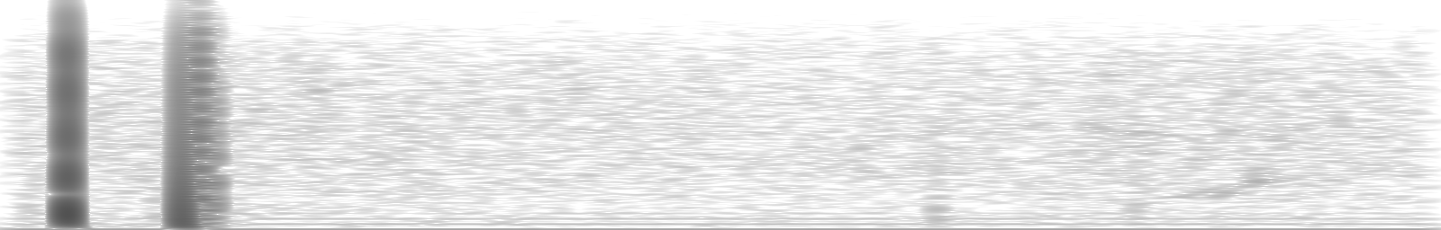 [Loading Spectrogram]