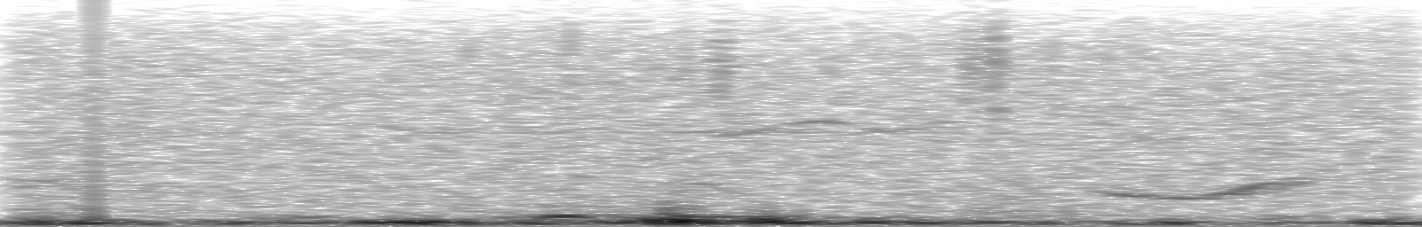 [Loading Spectrogram]