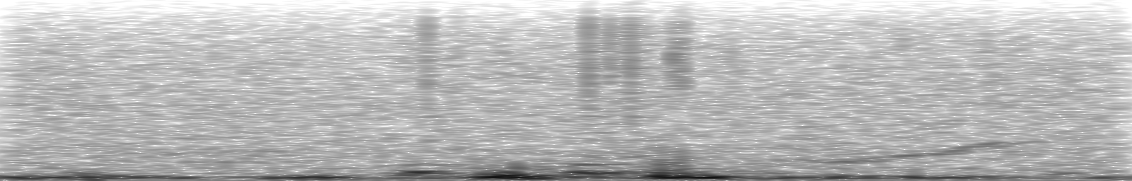 [Loading Spectrogram]