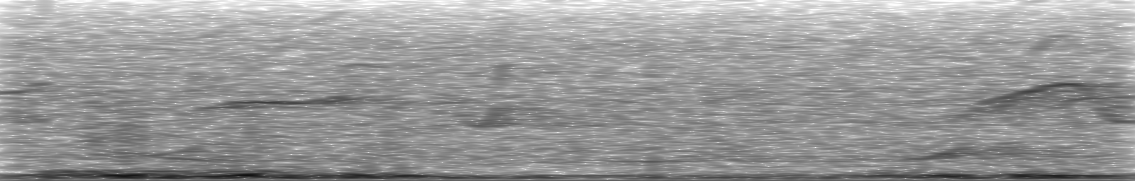 [Loading Spectrogram]