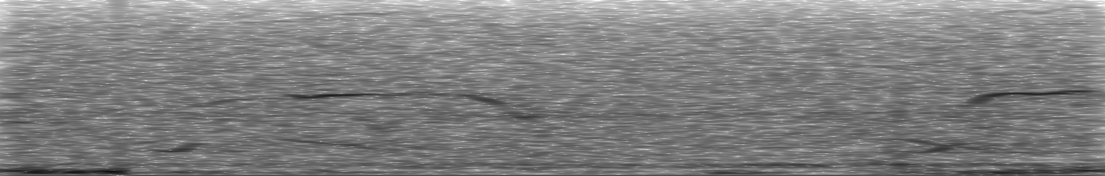 [Loading Spectrogram]