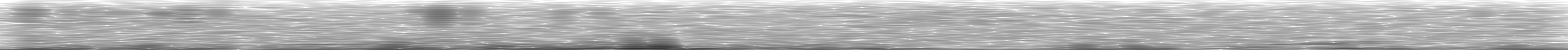 [Loading Spectrogram]