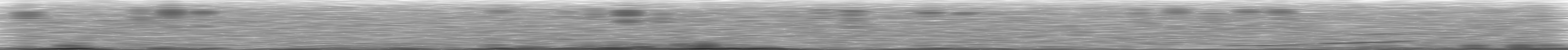 [Loading Spectrogram]