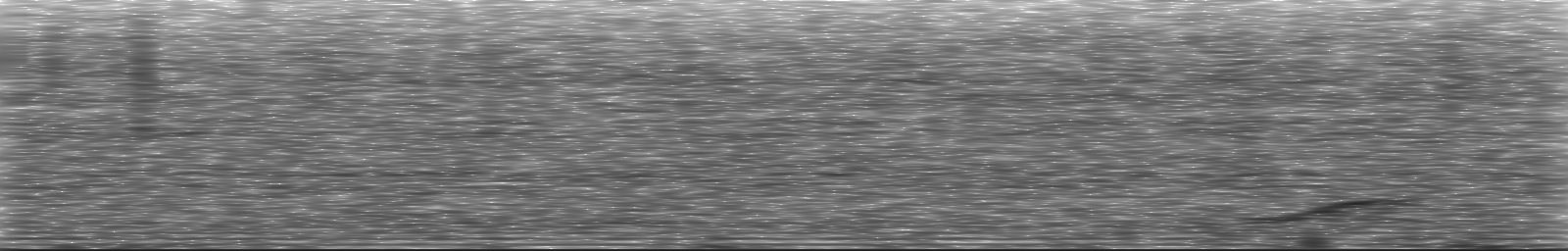 [Loading Spectrogram]
