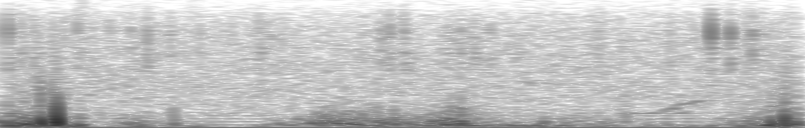 [Loading Spectrogram]