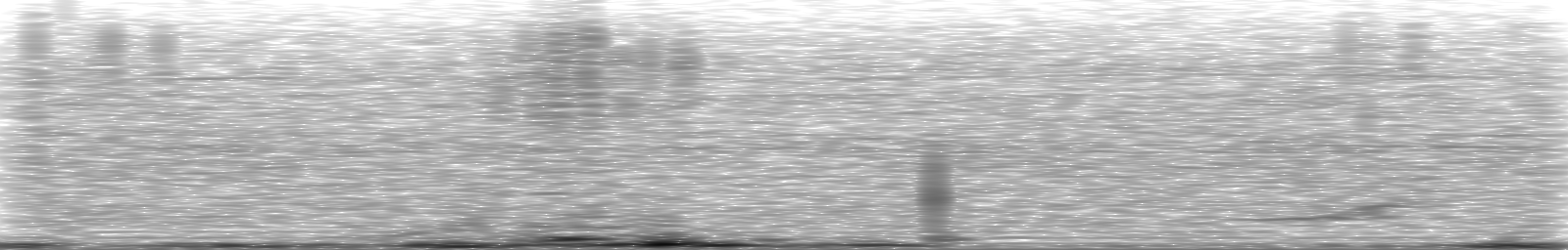 [Loading Spectrogram]