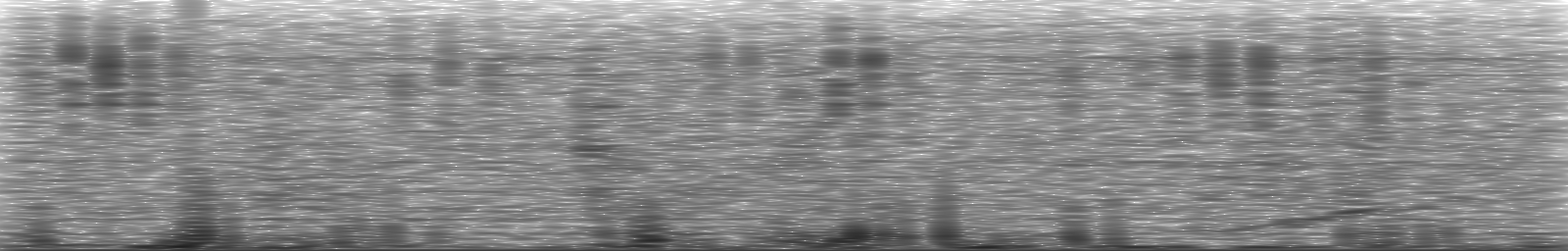 [Loading Spectrogram]