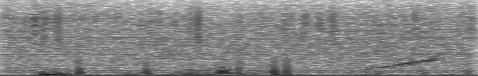 [Loading Spectrogram]