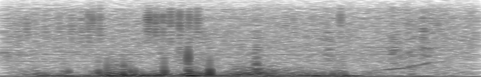 [Loading Spectrogram]