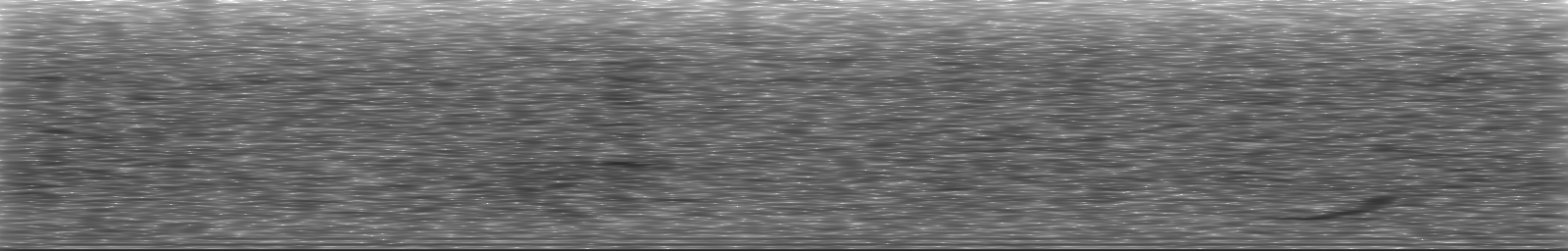 [Loading Spectrogram]