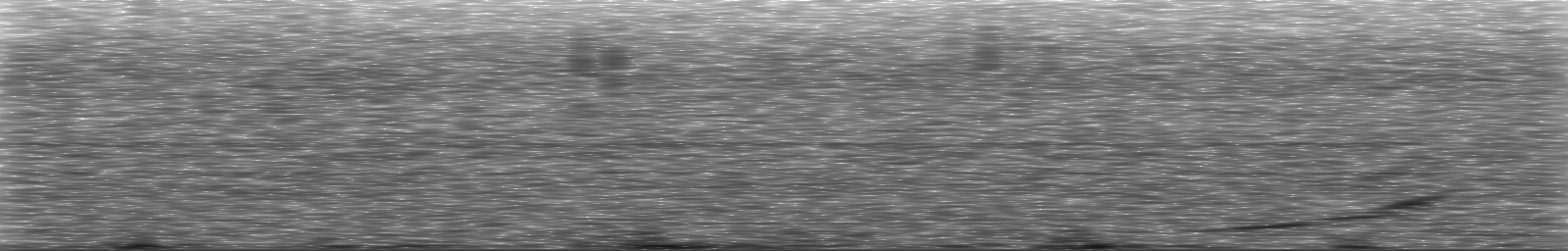 [Loading Spectrogram]