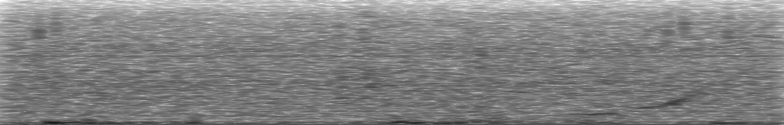 [Loading Spectrogram]