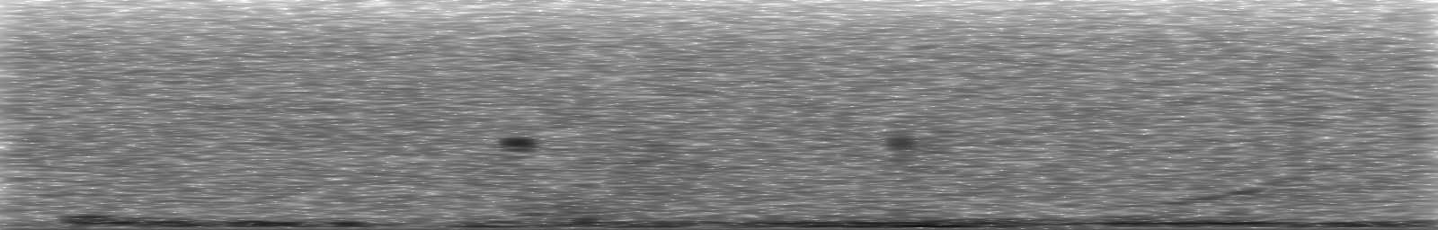 [Loading Spectrogram]