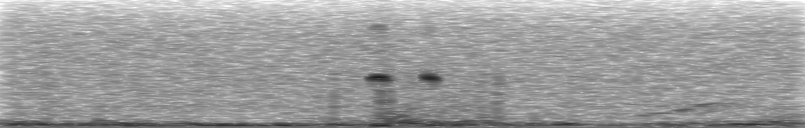 [Loading Spectrogram]