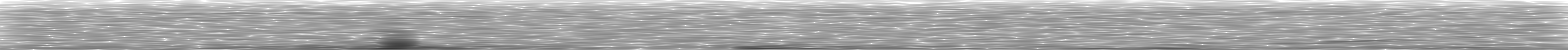 [Loading Spectrogram]