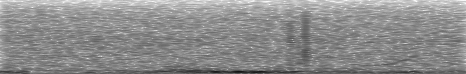 [Loading Spectrogram]