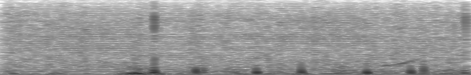 [Loading Spectrogram]