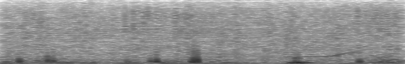 [Loading Spectrogram]