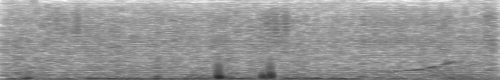 [Loading Spectrogram]