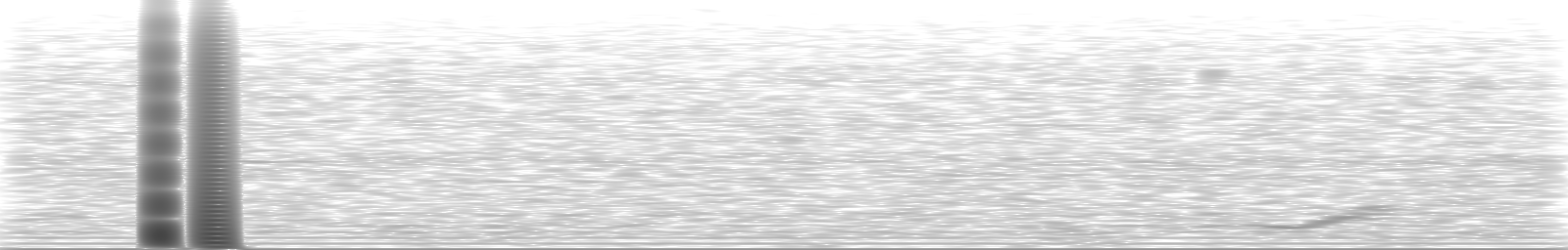 [Loading Spectrogram]
