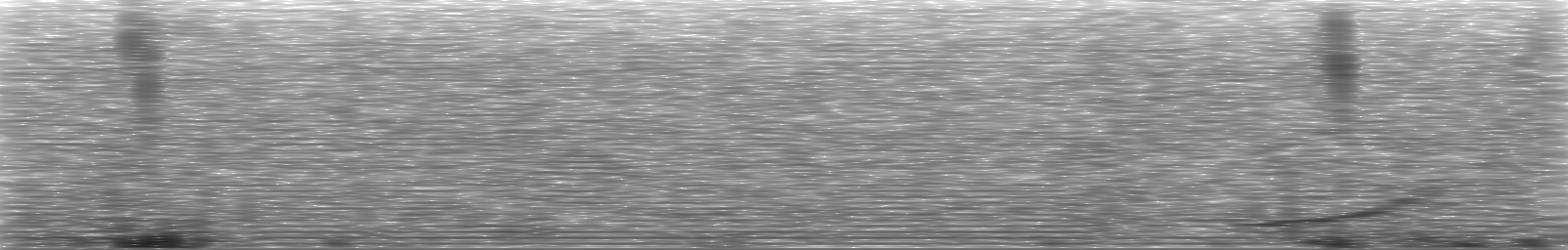 [Loading Spectrogram]