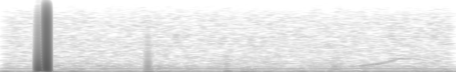 [Loading Spectrogram]