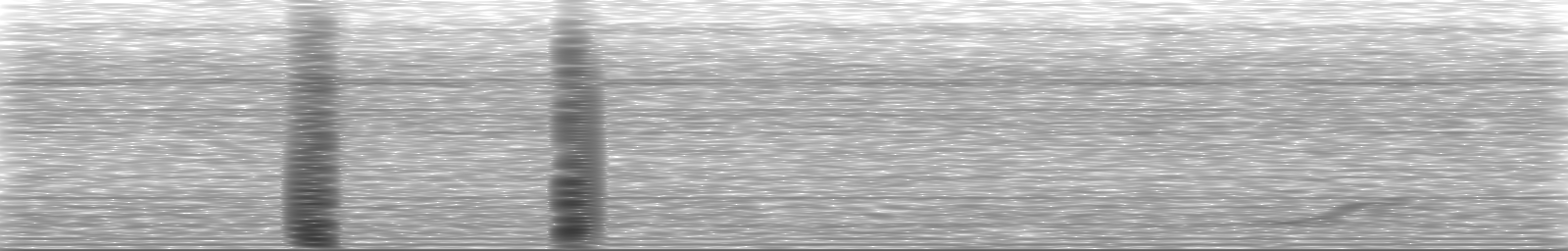 [Loading Spectrogram]