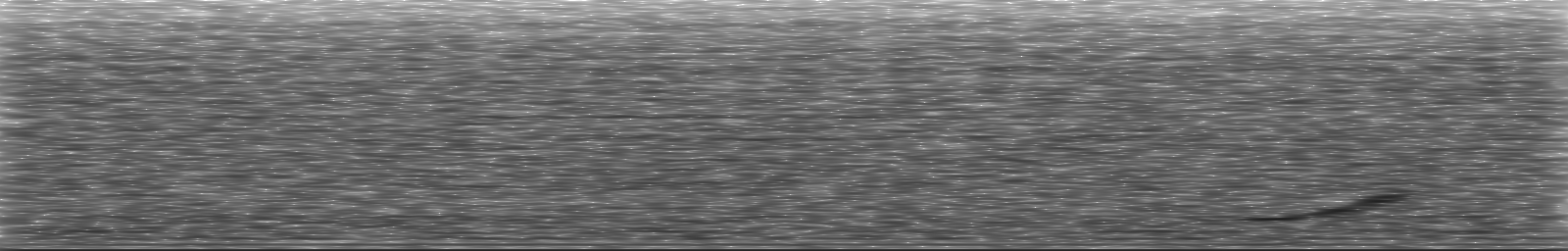 [Loading Spectrogram]