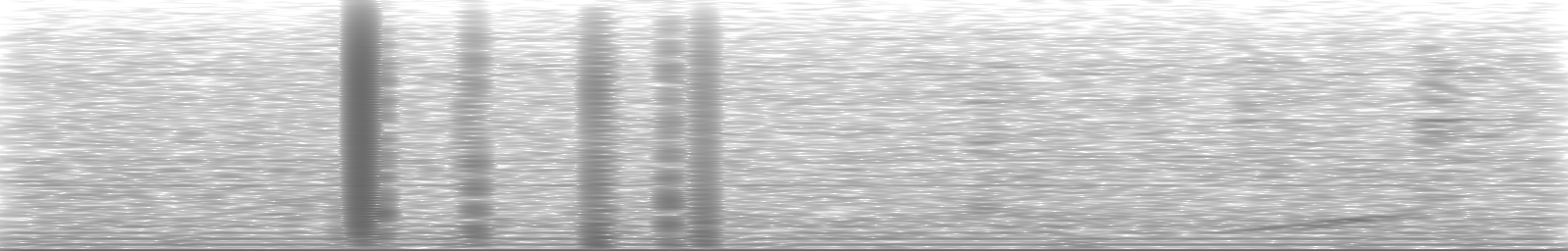 [Loading Spectrogram]