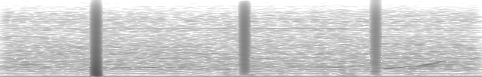 [Loading Spectrogram]