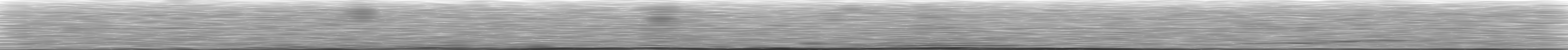 [Loading Spectrogram]