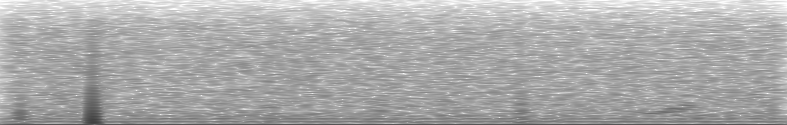 [Loading Spectrogram]
