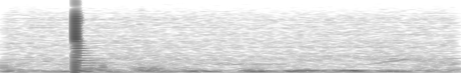 [Loading Spectrogram]