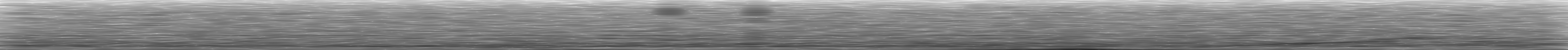 [Loading Spectrogram]