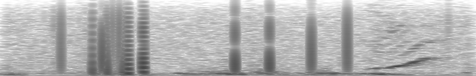 [Loading Spectrogram]