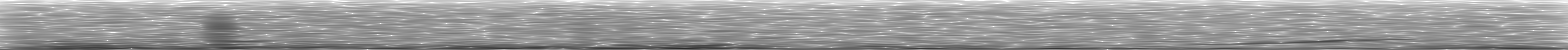 [Loading Spectrogram]