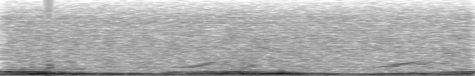 [Loading Spectrogram]