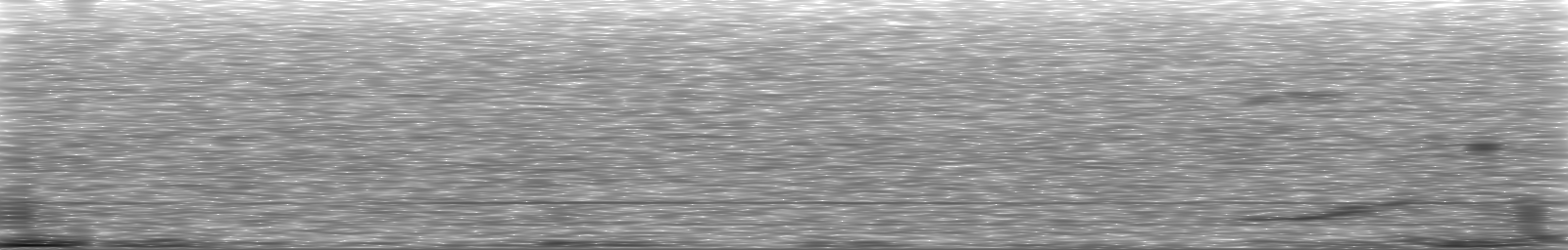 [Loading Spectrogram]