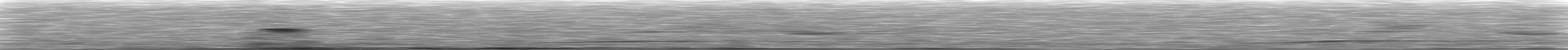 [Loading Spectrogram]