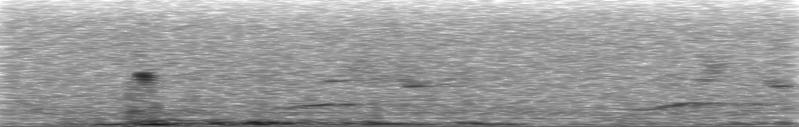[Loading Spectrogram]