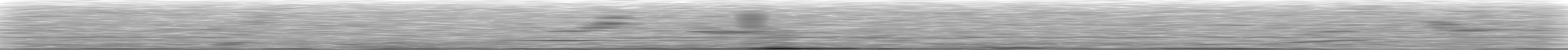 [Loading Spectrogram]