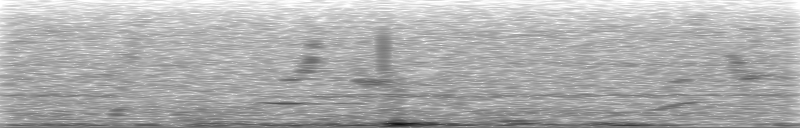 [Loading Spectrogram]