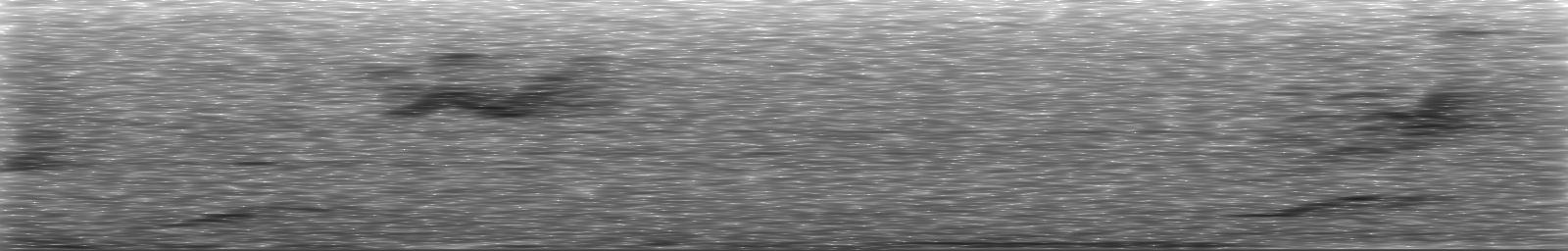 [Loading Spectrogram]