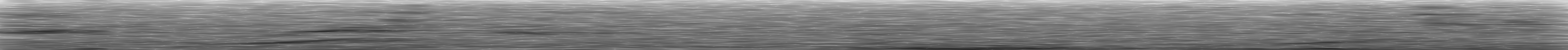 [Loading Spectrogram]