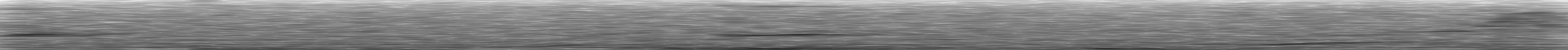 [Loading Spectrogram]