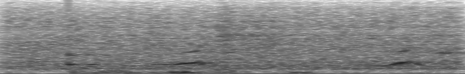 [Loading Spectrogram]